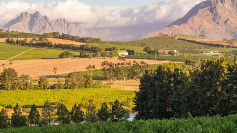 Cape Town Wine Tour (Paarl, Stellenbosch & Franschhoek) - FAQ