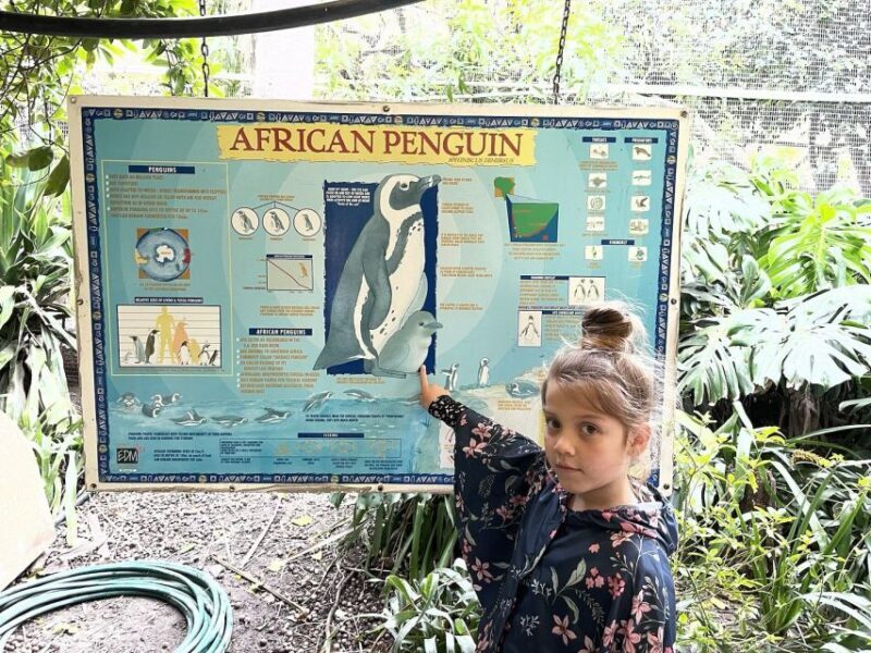 Cape Town: World of Birds & Animal Sanctuary - Key Points