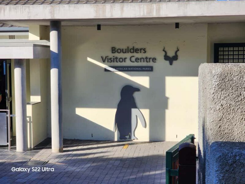 Cape Town:Swim with Penguins at Boulders &cape of good hope - An In-Depth Look at the Tour Experience