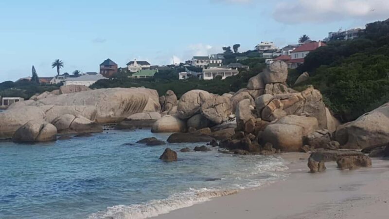 Cape Town:Swim with Penguins at Boulders &cape of good hope - FAQ