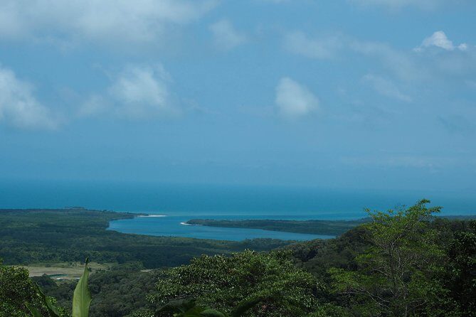Cape Tribulation & Daintree Wilderness (TCT) - A Full Breakdown of the Experience