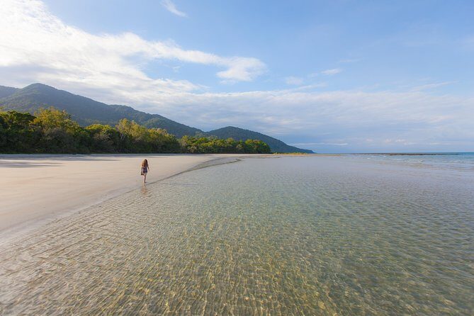 Cape Tribulation & Daintree Wilderness (TCT) - Practical Tips for Participants