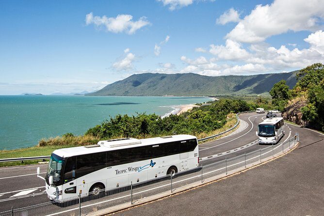 Cape Tribulation & Daintree Wilderness (TCT) - FAQs