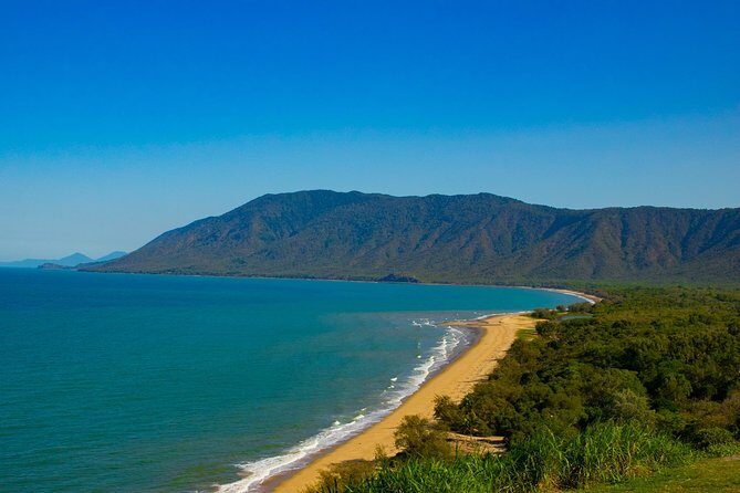 Cape Tribulation Day Tour - Exploring the Gondwana Rainforest