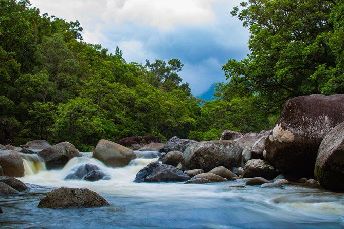 Cape Tribulation Day Tour - Wildlife and Crocodile Spotting on the Daintree River