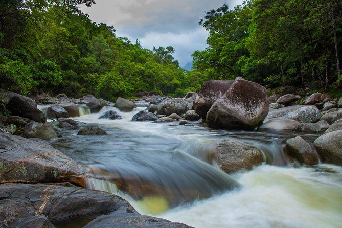 Cape Tribulation Day Tour - Mossman Gorge: A Refreshing Swim and Bushwalk