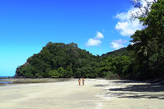 Cape Tribulation Day Tour from Cairns - Why This Tour Offers Great Value
