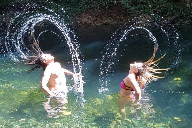 Cape Tribulation Day Tour from Cairns - Authentic Experiences and Highlights