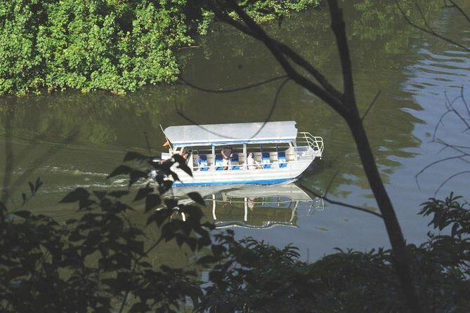 Cape Tribulation Day Tour from Cairns - Final Thoughts