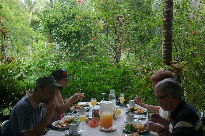 Cape Tribulation, Mossman Gorge and Daintree Rainforest Day Tour - What Travelers Say: Authentic Perspectives