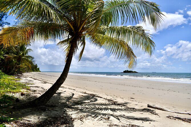 Cape Tribulation, Mossman Gorge, and Daintree Rainforest Day Trip - FAQ