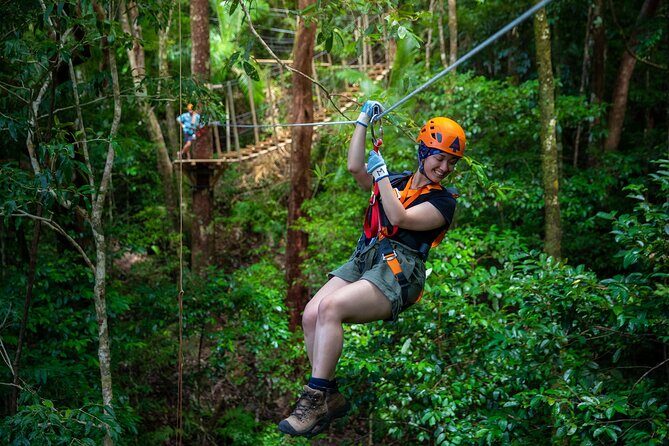 Cape Tribulation & Ziplining: Ultimate Daintree - The Itinerary: What to Expect and Why It Matters