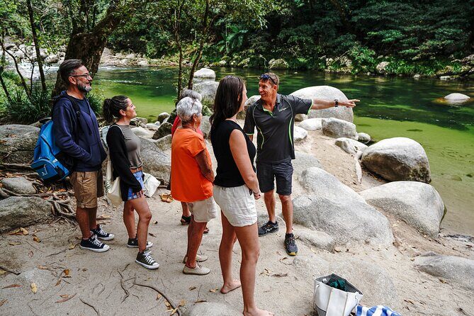 Cape Tribulation & Ziplining: Ultimate Daintree - Who Will Love This Tour?