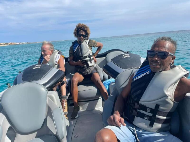 Cape Verde: Santa Maria Bay Dolphin Watching Tour - Introduction