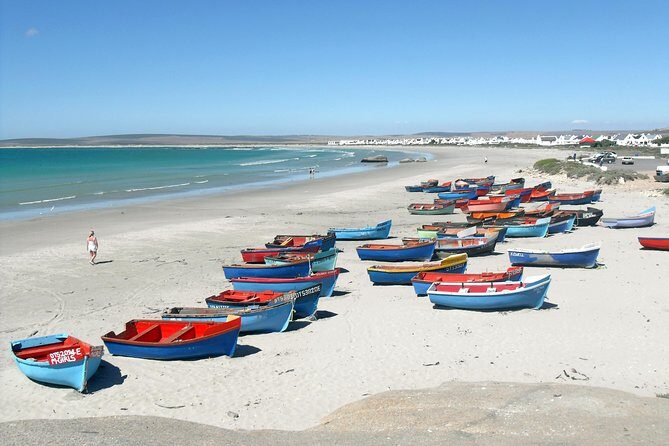 Cape West Coast Full Day Private Day Tour - The Experience: What Travelers Can Expect