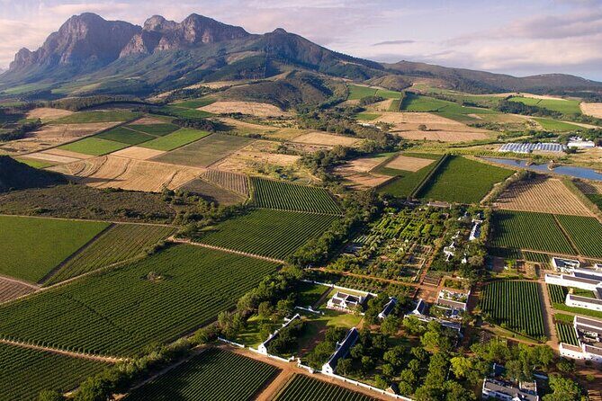 Cape Winelands Explore Full Day Tour with Private Transfer - A Deep Dive into the Cape Winelands Private Tour