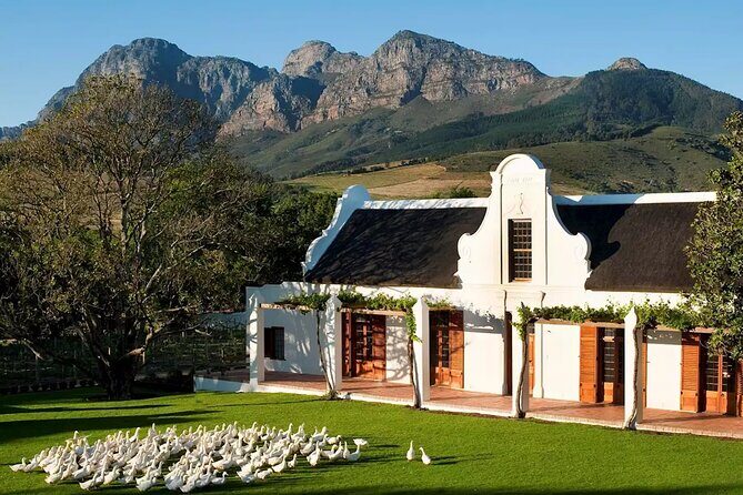 Cape Winelands Explore Full Day Tour with Private Transfer - Final Thoughts