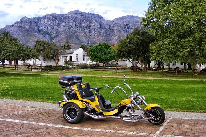 Cape Winelands Guided Trike Tour from Cape Town - A Detailed Look at the Tour Experience