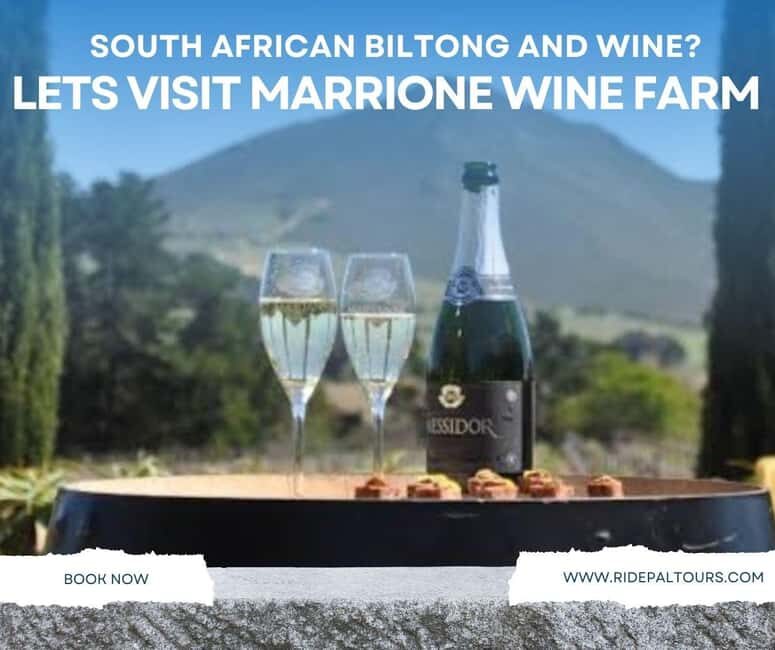 Cape Winelands: Private Full Day Wine Tour - The Details: Making the Most of Your Day