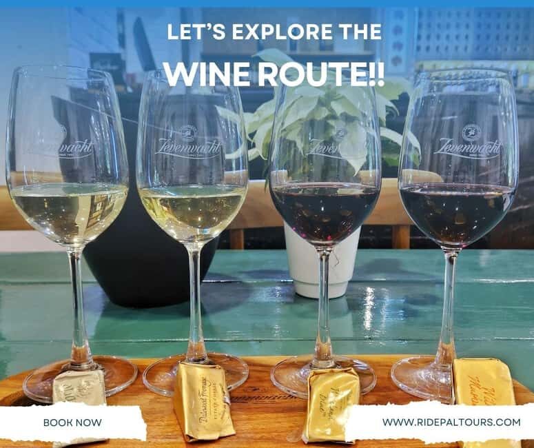 Cape Winelands: Private Full Day Wine Tour - Who Will Love This Tour?
