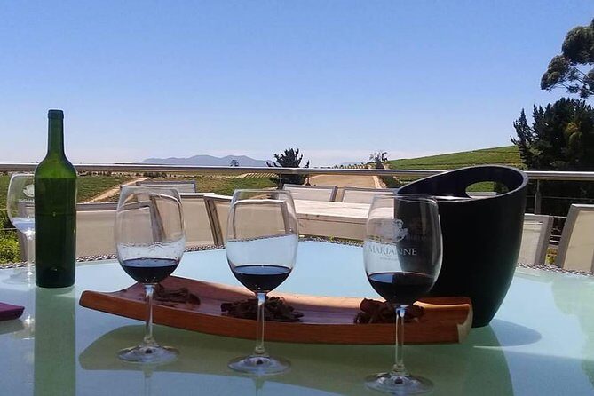 Cape Winelands Wine Tour (Cape To Grape Wine Tours) - Marianne Wine Estate: Biltong and Wine