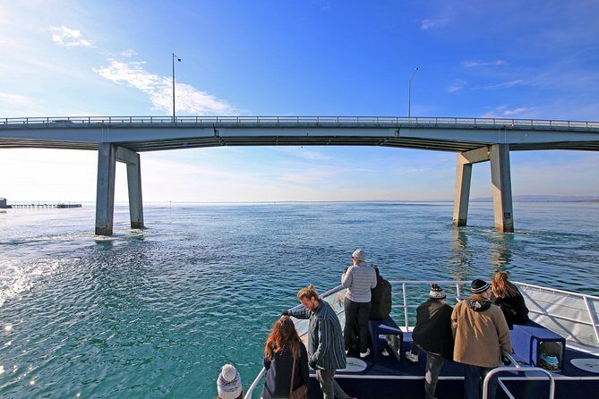 Cape Woolamai Sightseeing Cruise from San Remo - A Scenic Peek at Phillip Island: The Cape Woolamai Sightseeing Cruise