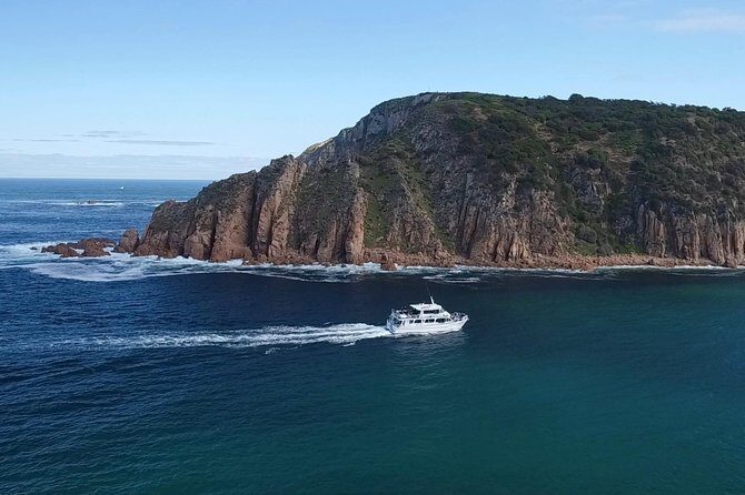 Cape Woolamai Sightseeing Cruise from San Remo - The Experience from the Passengers’ Perspective