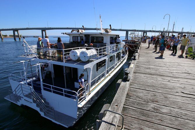 Cape Woolamai Sightseeing Cruise from San Remo - Practical Details: What You Need to Know