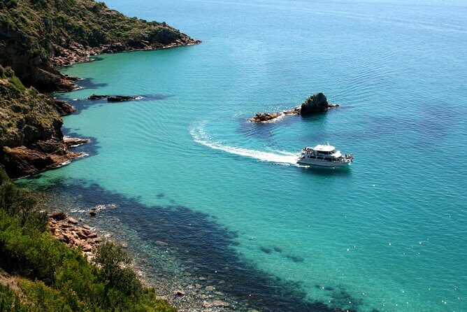 Cape Woolamai Sightseeing Cruise from San Remo - Who Should Consider This Tour?