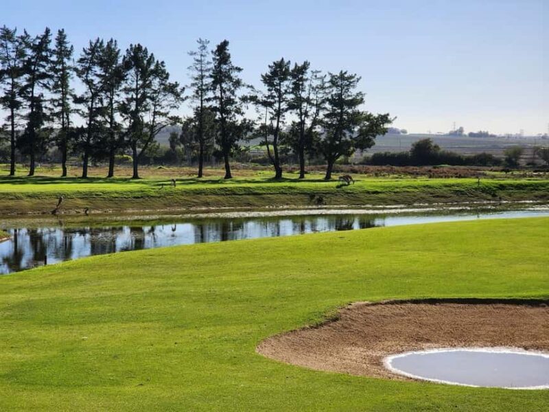 Cape,Town Golf day and Wine Tasting at Ernie Els wine estate - What Our Readers Will Love