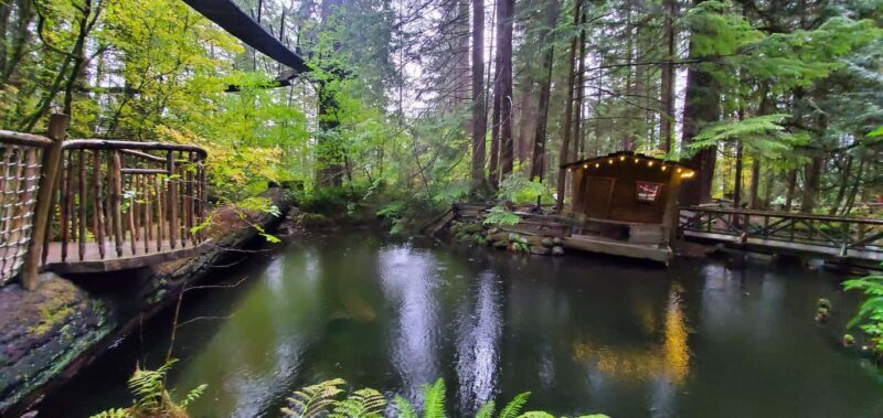 Capilano Br+Granville Isl+Capilano Hatchery+Lynn Canyon Tour - Frequently Asked Questions