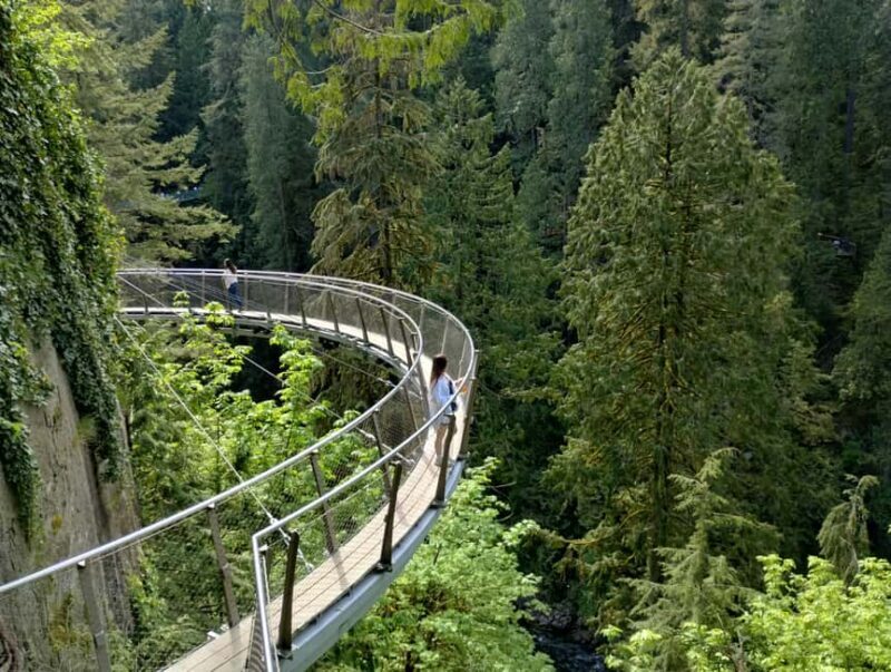 Capilano Br+Grouse Mtn+Dam+Lake&Hatcher/5in1/Small Group/Car - The Itinerary Breakdown: What’s Included and Why It Matters
