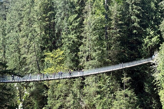 Capilano Br+Grouse Mtn+Dam+Lake+Hatchery/5in1CarTour+Small Group - A Deep Dive into the Tour Experience