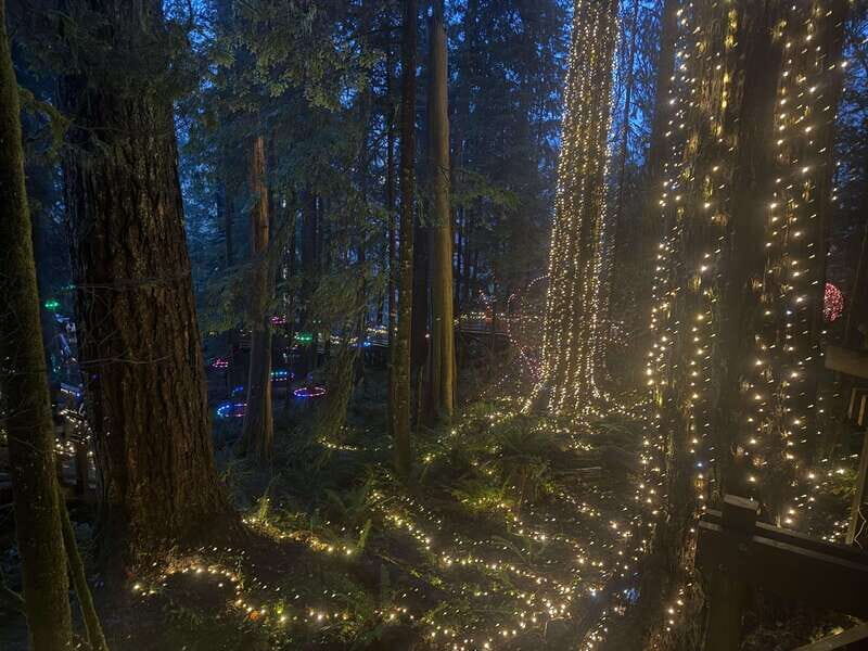 Capilano Suspension Bridge/Private/Small Group/By LUX CAR - Key Points
