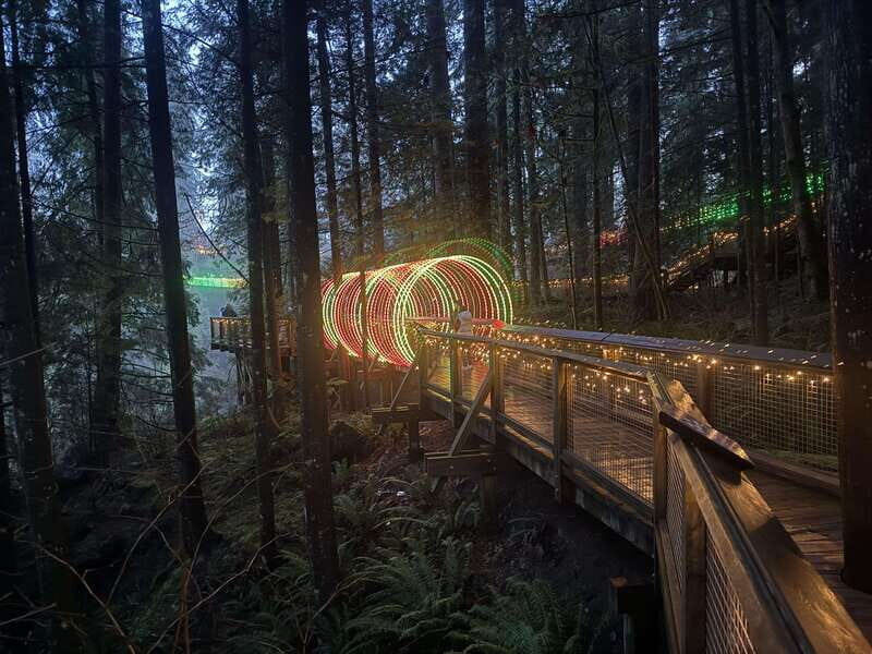 Capilano Suspension Bridge/Private/Small Group/By LUX CAR - Private Transportation and Scenic Drive
