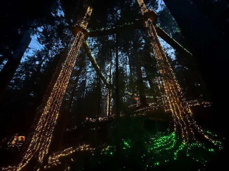 Capilano Suspension Bridge/Private/Small Group/By LUX CAR - Final Stop: Eagle Eye Platform