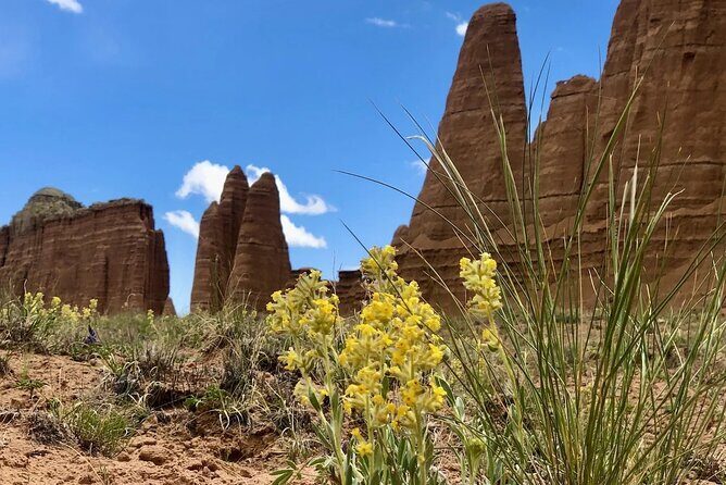 Capitol Reef Private Tour in Cathedral Valley and Bentonite Hills - Analyzing the Price and Value