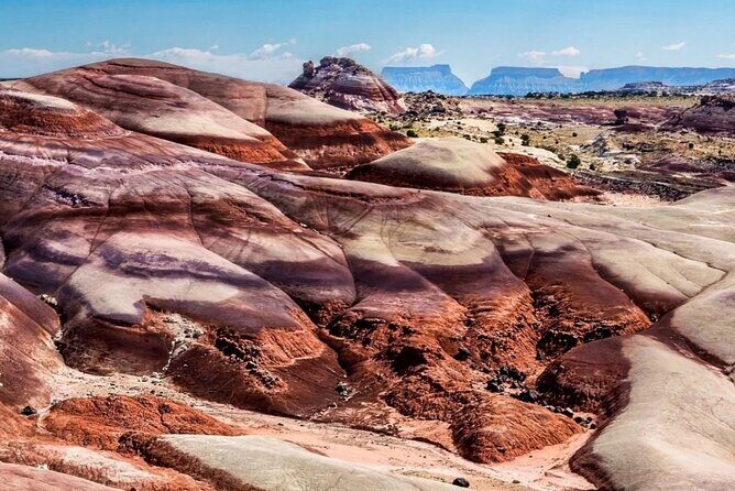 Capitol Reef Private Tour in Cathedral Valley and Bentonite Hills - In The Sum Up