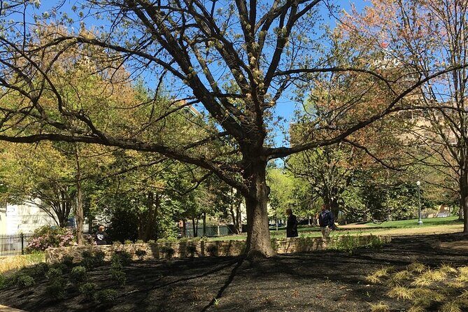 Capitol Steps and Stories Walking Tour - Exploring Richmond’s Historic Heart: A Detailed Review