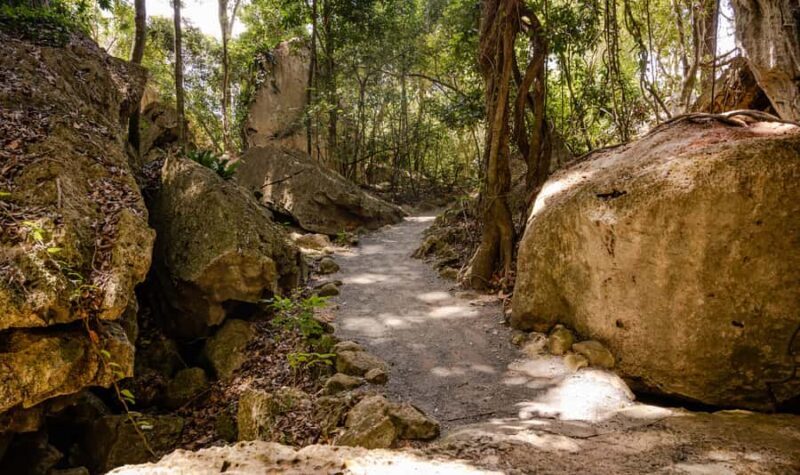 Capricorn Caves, Australia: 45-Minute Cathedral Cave Tour - Key Points