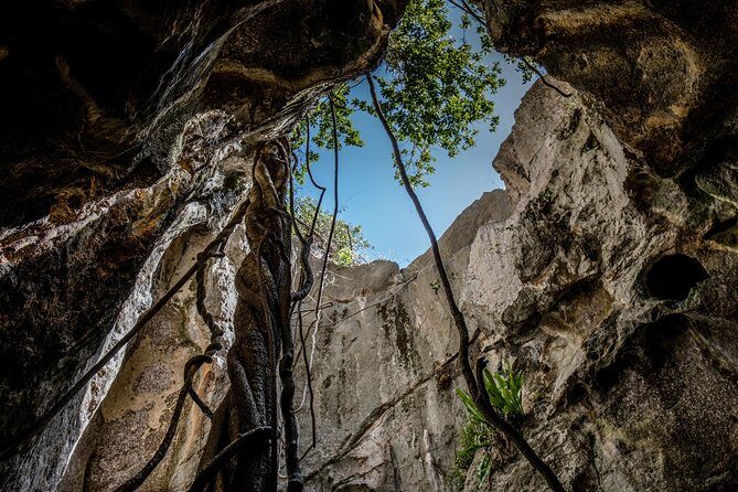 Capricorn Caves Capricorn Explorer - Authentic Experiences and What Travelers Say