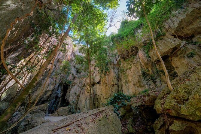 Capricorn Caves Cathedral Cave Tour - The Highlights That Make This Tour Special