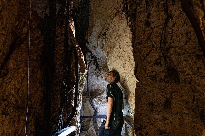 Capricorn Caves Cathedral Cave Tour - The Itinerary in Detail