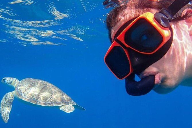 CAPTAIN ALAN'S 4hr -3 Islands-snorkeling-turtles-beach ADVENTURE - The Itinerary in Detail