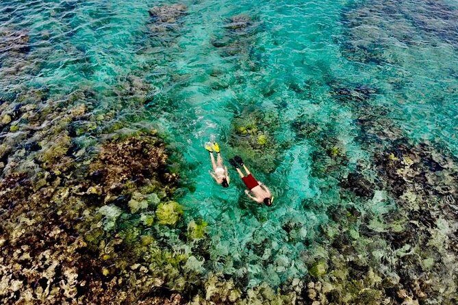 Captain Bob Speed Boat, Snorkeling, Beach Tour & Lunch St Maarten - An In-Depth Look at the Tour