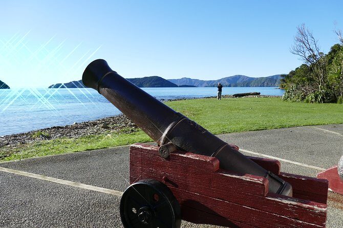 Captain Cook and Dolphin Cruise - FAQ