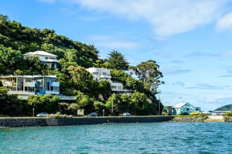 Captivating Side of Dunedin Walking Tour for Couples - Key Points
