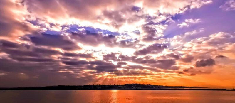 Capture LA's Coastal Magic-Wildlife, Marina Photography Tour - FAQ