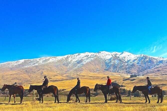 Cardrona High Country Pub Trail Horse Trek (Intermediate level+) - An Authentic Ride through Central Otago’s High Country
