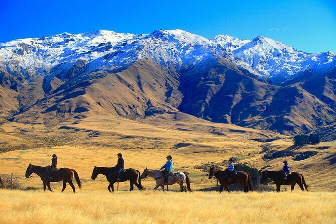 Cardrona High Country Pub Trail Horse Trek (Intermediate level+) - Real Rider Experiences: Authentic Perspectives